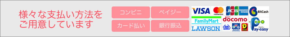 貴方を幸せに導く電話占い